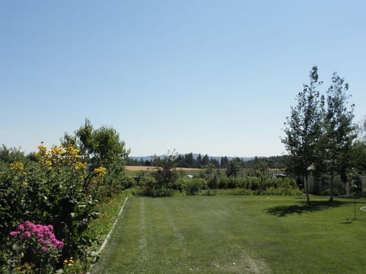 Beautiful garden landscape at a senior care facility