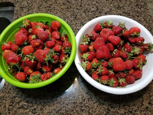 Lena‘s Gentle Care