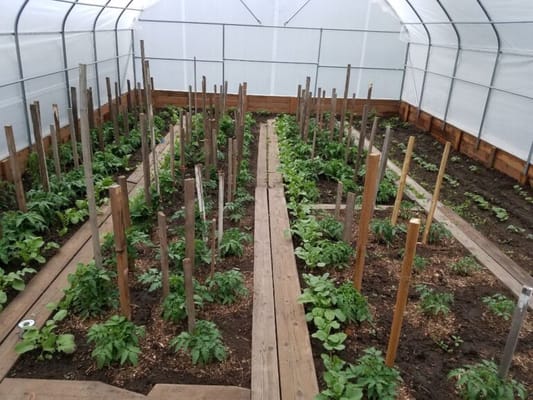 Lena‘s Gentle Care