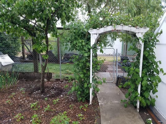 Entrance archway covered in greenery