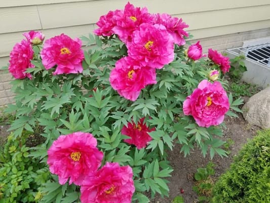 Lena‘s Gentle Care