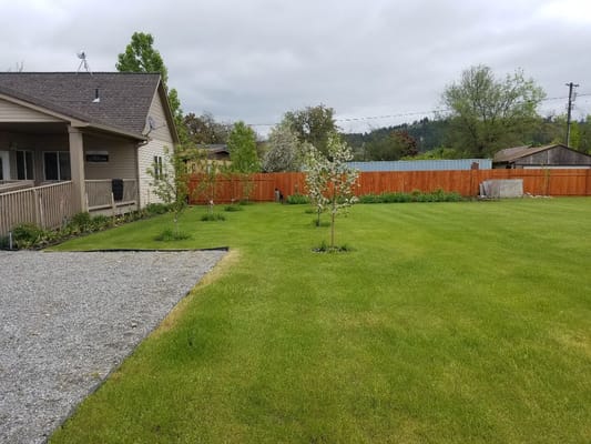 Well-maintained garden area with grass and trees