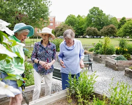 Laurelmead Cooperative, Inc.