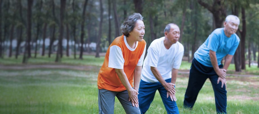 Seniors stretching in a park during an outdoor activity