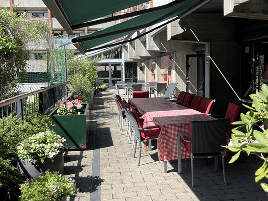 Outdoor terrace area with seating and plants