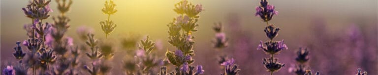 Casa de las Campanas