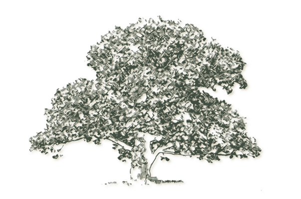 Armour Oaks Senior Living Community