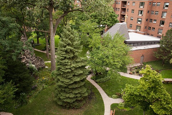 Lush green outdoor space with walking paths and trees