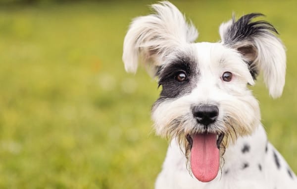 The Hearthstone at Green Lake