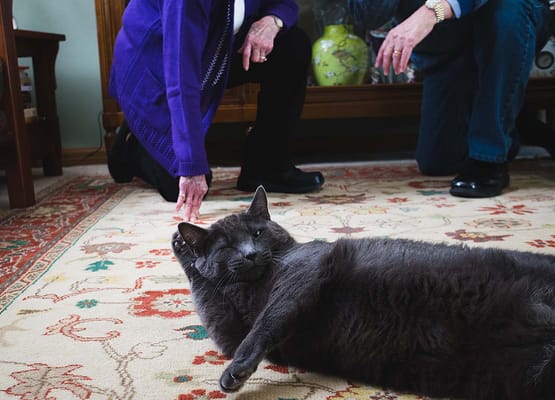 Oakwood Village Prairie Ridge