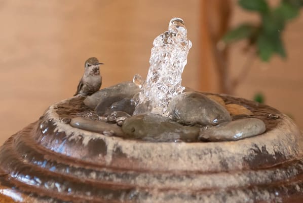 Mi Casa Nursing Center