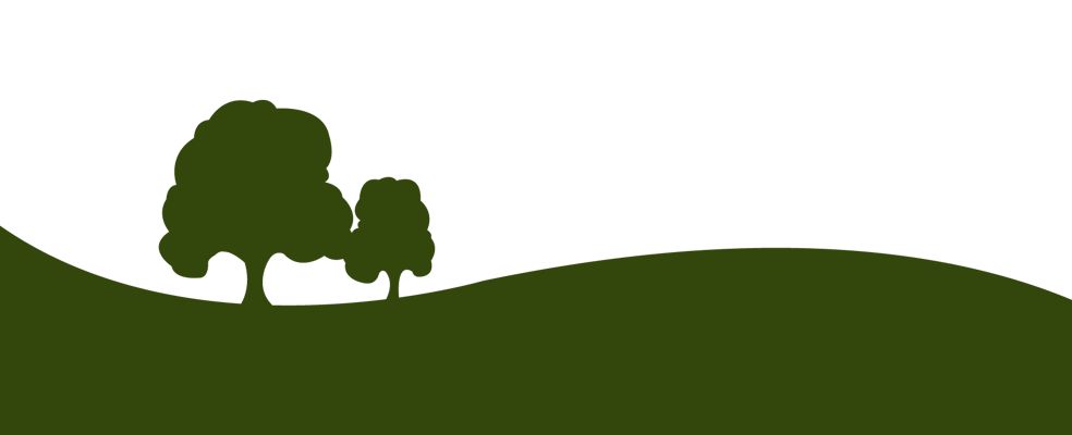 Paramount Parks at Eagle