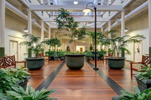 Indoor common area with plants and seating