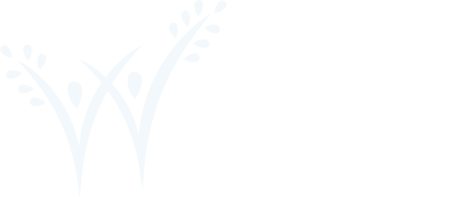 Wesley Enhanced Living at Stapeley