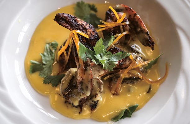 Blue Skies of Texas East