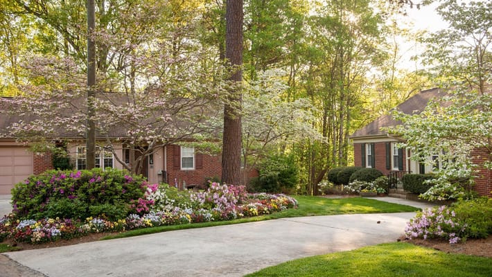 Beautiful landscaped outdoor space with flowering trees and plants
