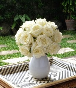 Avid Care Cottages – Champions