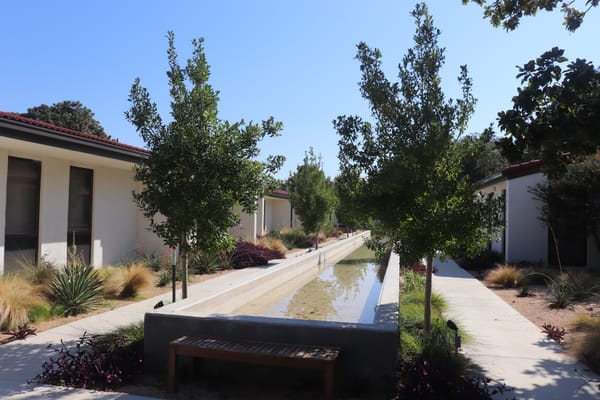 Outdoor garden area with water feature and trees