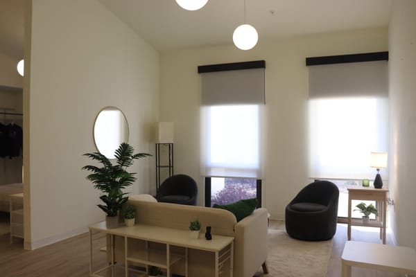 Bright living area with modern furniture and natural light