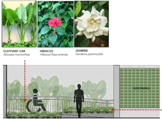 Charis Manor Nursing Home