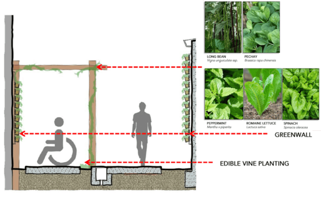 Charis Manor Nursing Home