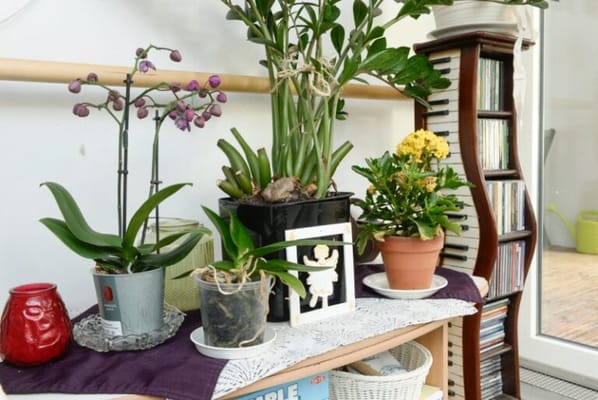 Hoivakoti Rinnekodit Leenankoti