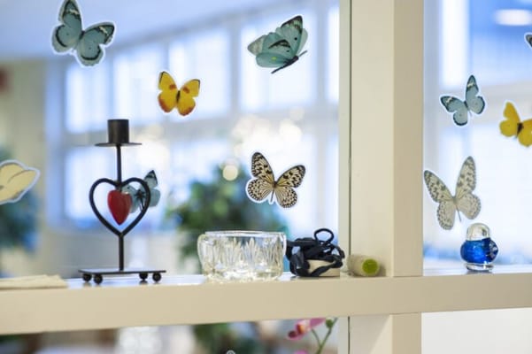 Hoivakoti Rinnekodit Kyläkallio