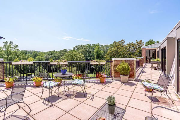 Outdoor terrace with seating and greenery