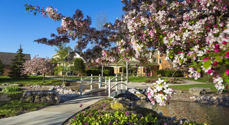 Beautiful garden with flowers and a bridge