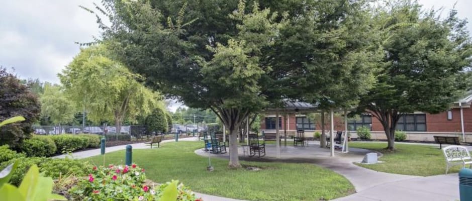 Outdoor seating area with trees and benches
