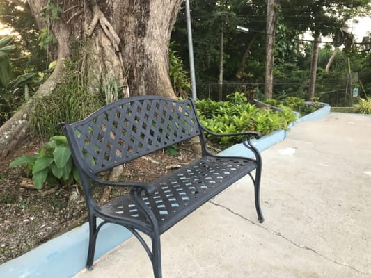 Metal bench in a garden setting