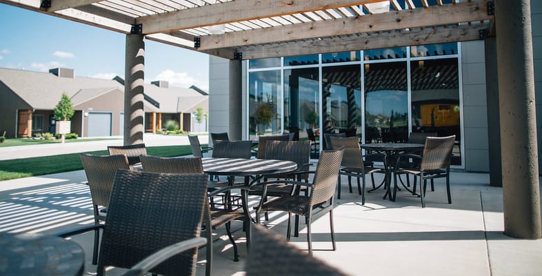 Outdoor seating area under a pergola