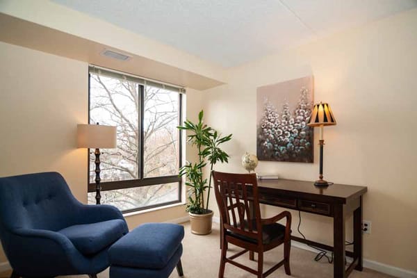 Bright living area with a blue chair, desk, and potted plant