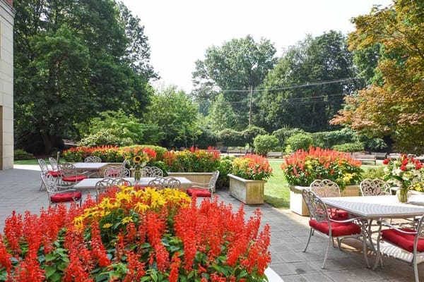 Outdoor patio area with vibrant flower beds and seating