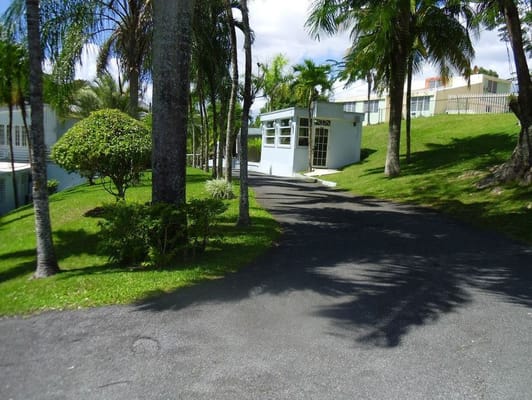 The entry driveway lined with palm trees at Hogar Elisabet.
