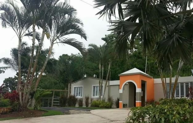 Entrance of Hogar Hacienda El Paraíso II surrounded by palm trees