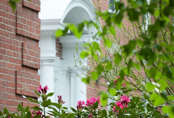 Exterior view of a building entrance with flowers