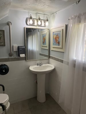 Well-lit bathroom with a sink, mirror, and decorative art.