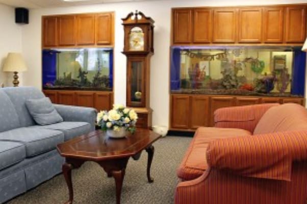Comfortable seating area with aquariums and floral arrangement