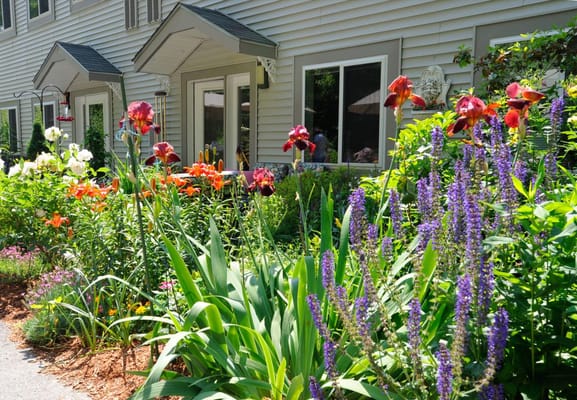 Colorful flower garden in front of a residential building