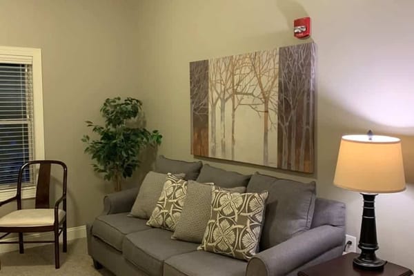 Living room featuring a gray sofa, decorative pillows, and artwork