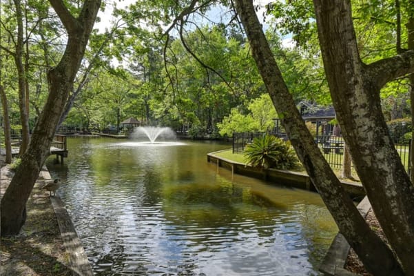 A tranquil pond with a fountain surrounded by lush greenery.