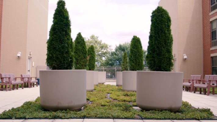 Patio with planters and hedges at Victory Centre of Galewood