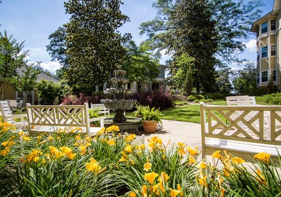 Serene garden featuring a fountain and yellow flowers.