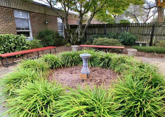 Courtyard with a fountain surrounded by greenery