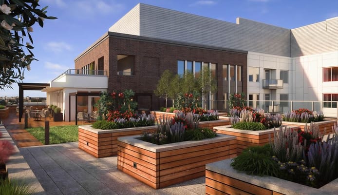 Modern outdoor space with gardens and seating areas