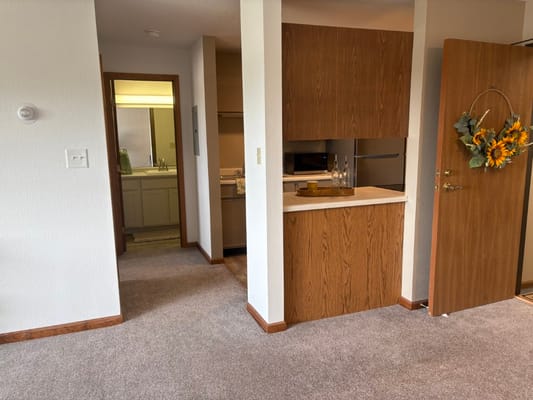 Interior view of a living space with a kitchen area and a doorway.