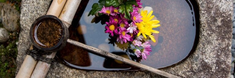 Kokoro Assisted Living