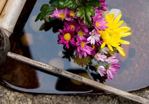 Kokoro Assisted Living