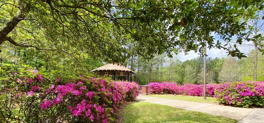 Pathway surrounded by colorful flowers near gazebo